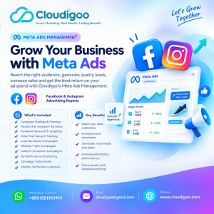 Meta Ads Management